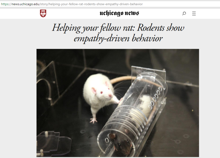 helping your fellow rat